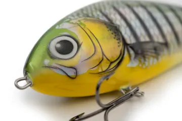 Salmo Perch_14 Phantom