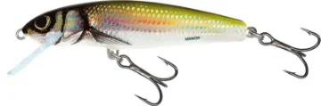 Salmo Minnow 6cm 6cm