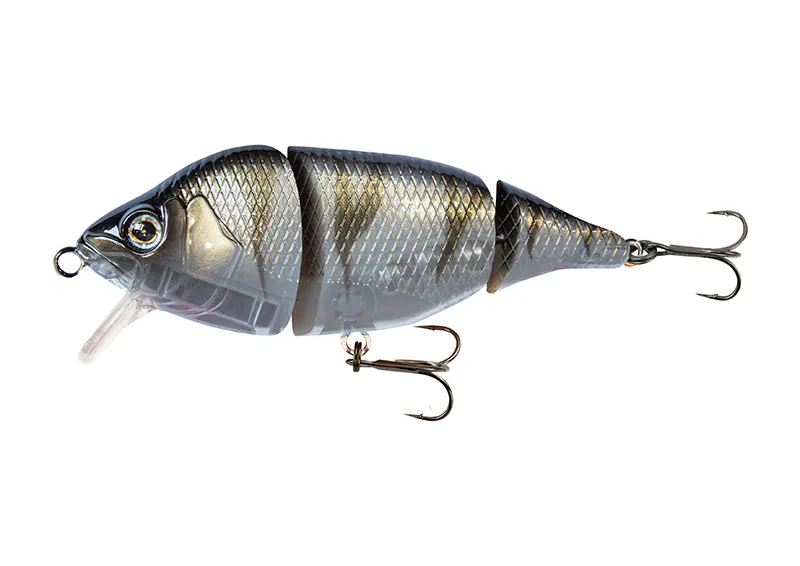 UV Striped Shiner