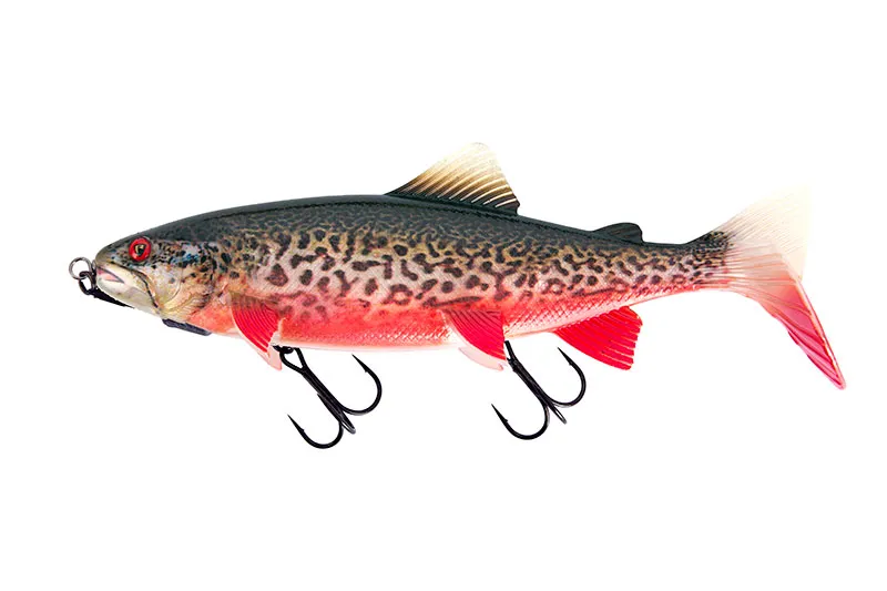 Supernatural Tiger Trout