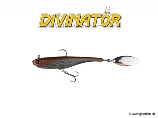 BIWAA DIVINATÖR 200 - Coulée 1m/s Ghost Carp