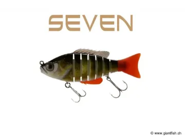 BIWAA SEVEN 4" - Coulée 0.4m/s Real Perch