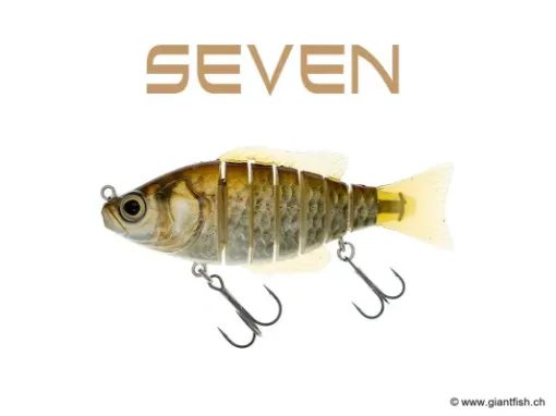 BIWAA SEVEN 4" - Coulée 0.4m/s Carassin