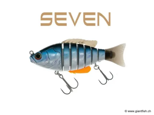 BIWAA SEVEN 4" - Coulée 0.4m/s Gardon Lazer