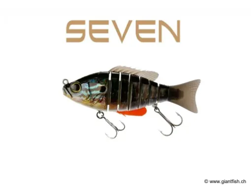 BIWAA SEVEN 4" - Coulée 0.4m/s Sunfish