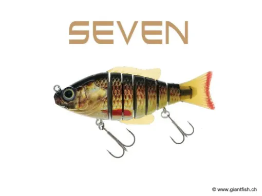 BIWAA SEVEN 4" - Coulée 0.4m/s Redhorse