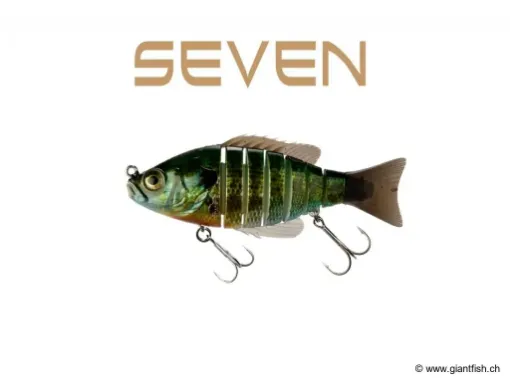 BIWAA SEVEN 4" - Coulée 0.4m/s Blue Gill