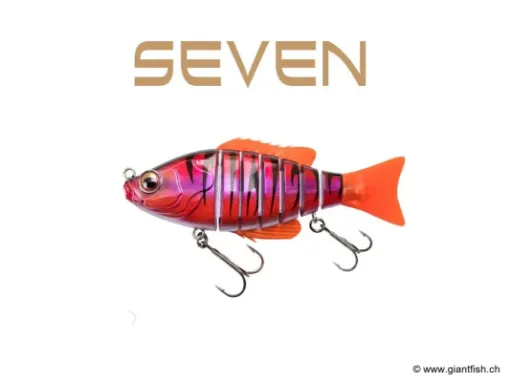 BIWAA SEVEN 4" - Coulée 0.4m/s Ruby Tiger