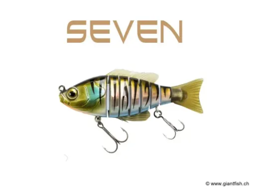 BIWAA SEVEN 4" - Coulée 0.4m/s Natural Tiger