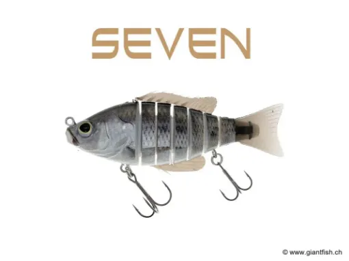 BIWAA SEVEN 5" - Coulée 0.4m/s Real Shad