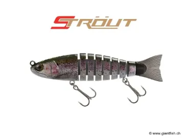 BIWAA S'TROUT 6.5" - Coulée 0.3m/s Rainbow