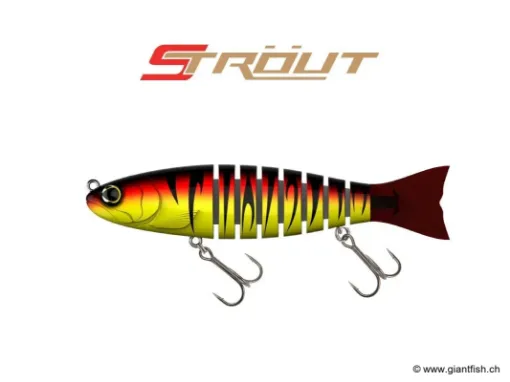 BIWAA S'TROUT 6.5" - Coulée 0.3m/s Red Tiger