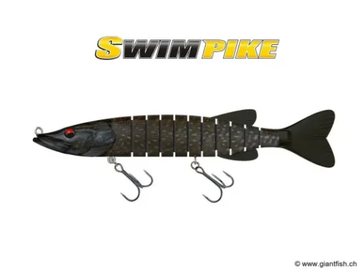 BIWAA SWIMPIKE 24cm - Coulée 0.5m/s - Northern