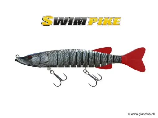 BIWAA SWIMPIKE 24cm - Coulée 0.5m/s - Tiger Musky