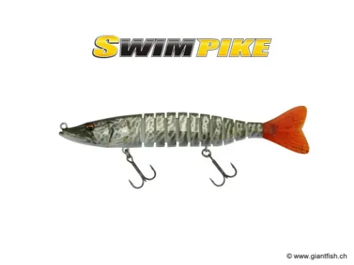 BIWAA SWIMPIKE 24cm - Coulée 0.4m/s - Tiger Musky