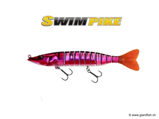 BIWAA SWIMPIKE 24cm - Coulée 0.4m/s - Ruby Tiger