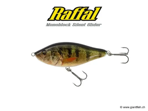 BIWAA RAFFAL 4" - GLIDER - Coulant Real Perch