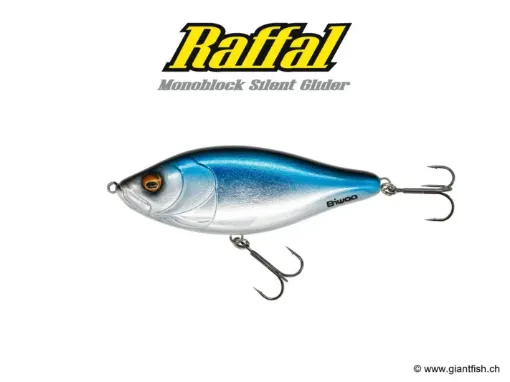 BIWAA RAFFAL 4" - GLIDER - Coulant Blue Chrome