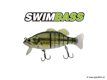 BIWAA SWIMBASS 6" Coulée lente - 65g CT Real Bass