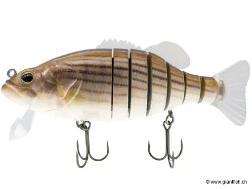 BIWAA SWIMBASS 6" Coulée lente - 65g Striped Bass