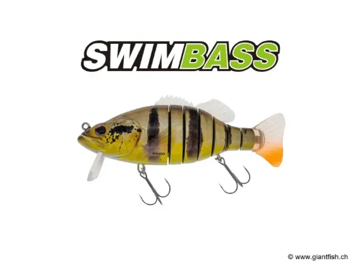 BIWAA SWIMBASS 6" Coulée lente - 65g Peacock