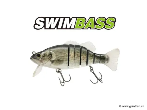 BIWAA SWIMBASS 6" Coulée lente - 65g Branzino