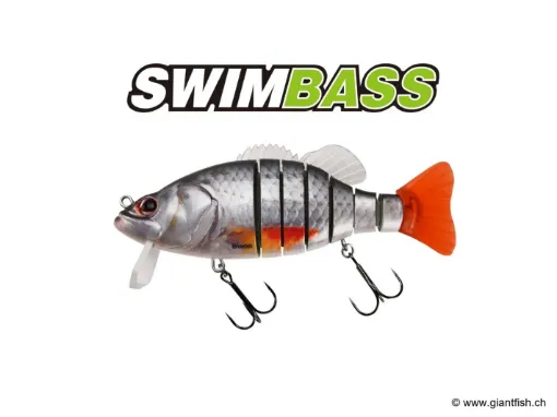 BIWAA SWIMBASS 6" Coulée lente - 65g CT Roach