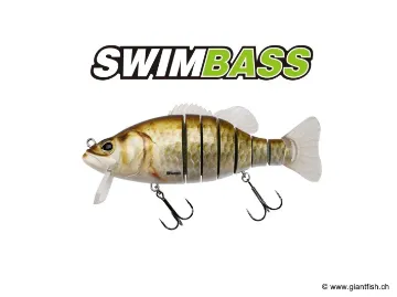 BIWAA SWIMBASS 6" Coulée lente - 65g CT Carasin