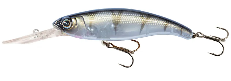 UV Striped Shiner