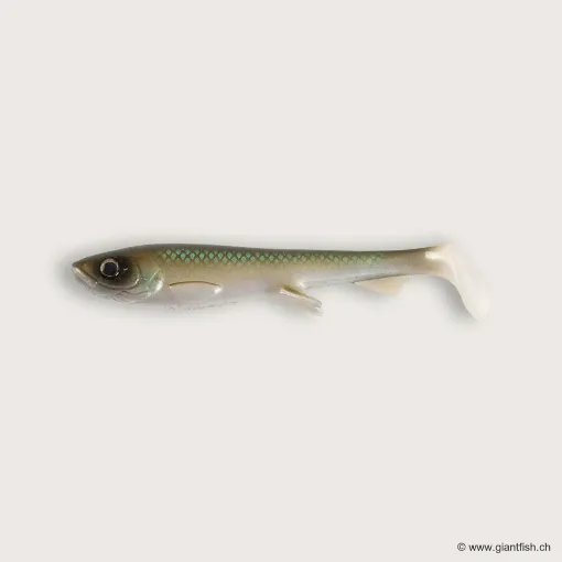 Image de Wolfcreek Shad 2.0 - 11cm / 11g