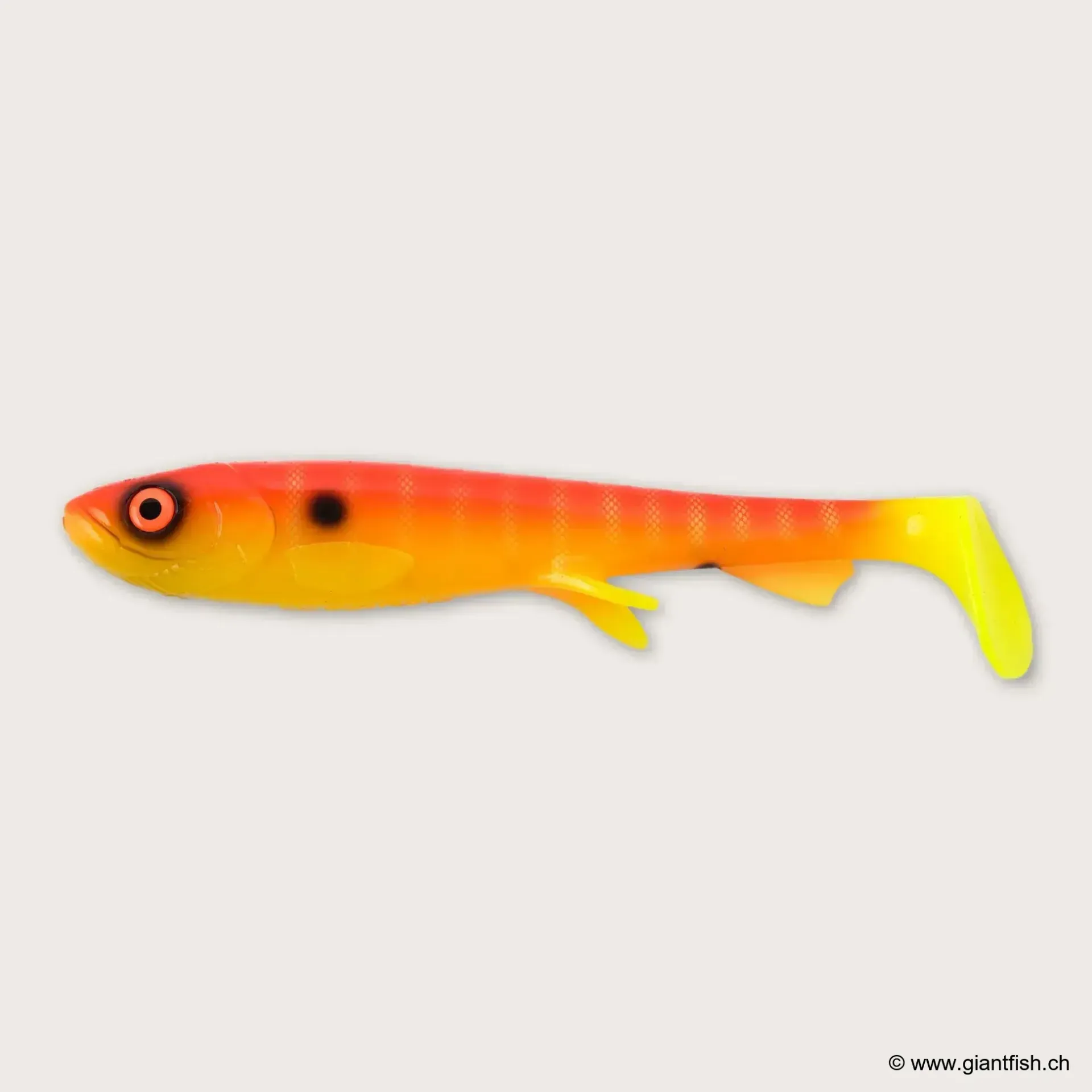 (C080) - Sherbert Shad