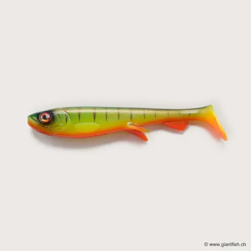 Bild von Wolfcreek Shad 2.0 - 25cm / 120g