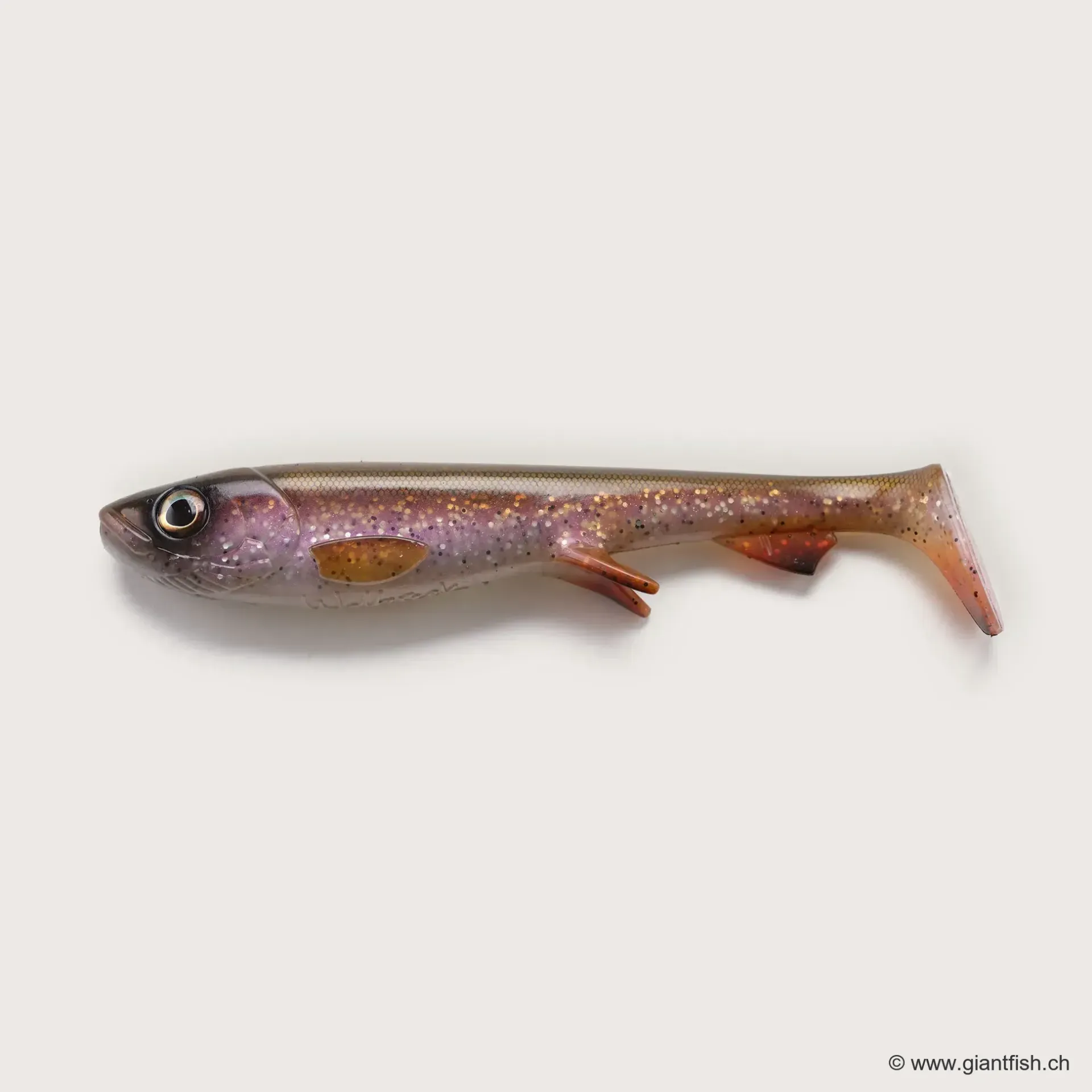 (C019) - Rainbow Trout (UV)