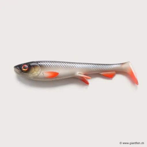 Bild von Wolfcreek Shad 2.0 - 25cm / 120g