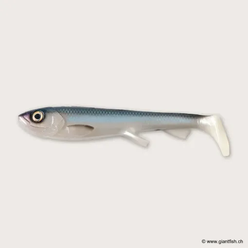 Image de Wolfcreek Shad 2.0 - 25cm / 120g