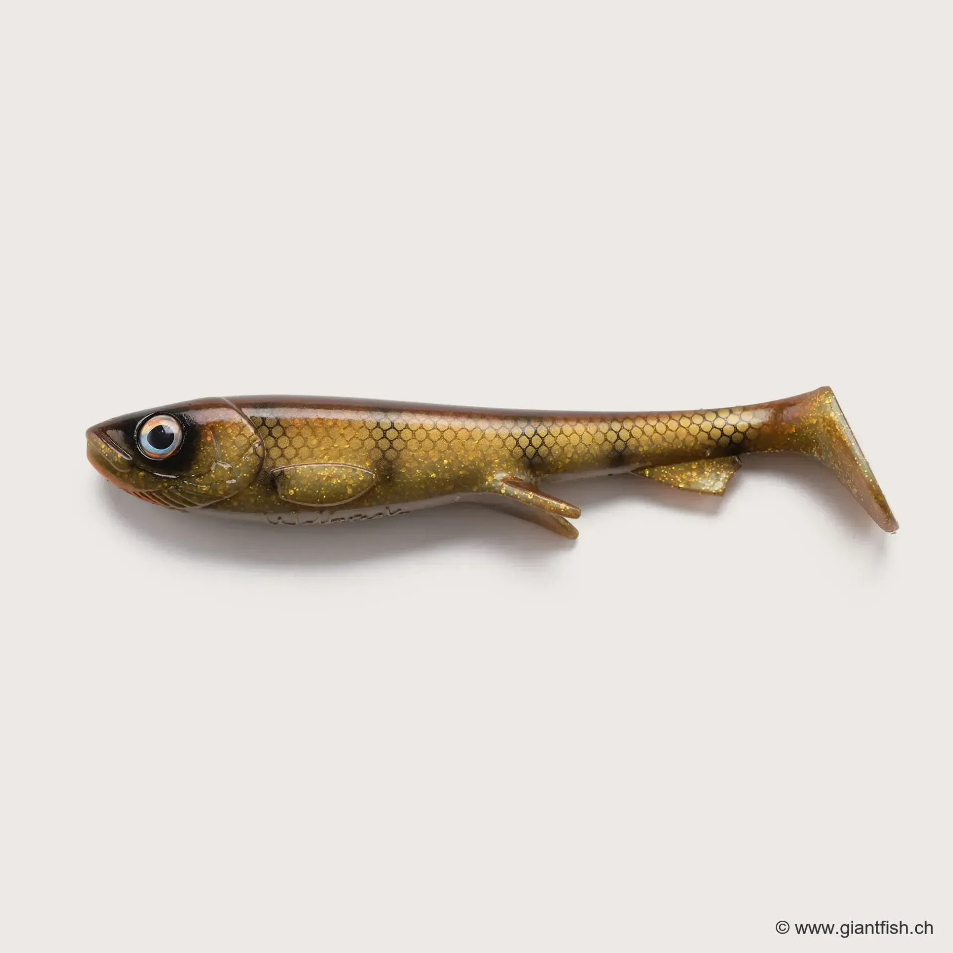 (C030) - Brown Perch