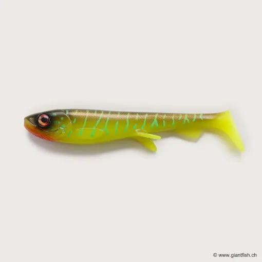 Bild von Wolfcreek Shad 2.0 - 25cm / 120g