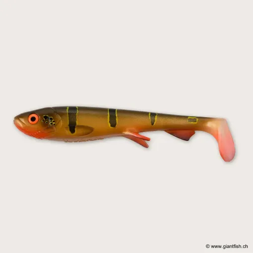 Bild von Wolfcreek Shad 2.0 - 25cm / 120g