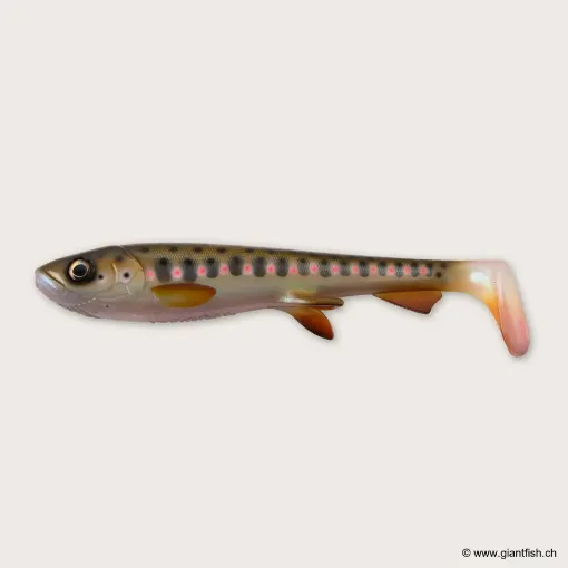 Bild von Wolfcreek Shad 2.0 - 25cm / 120g