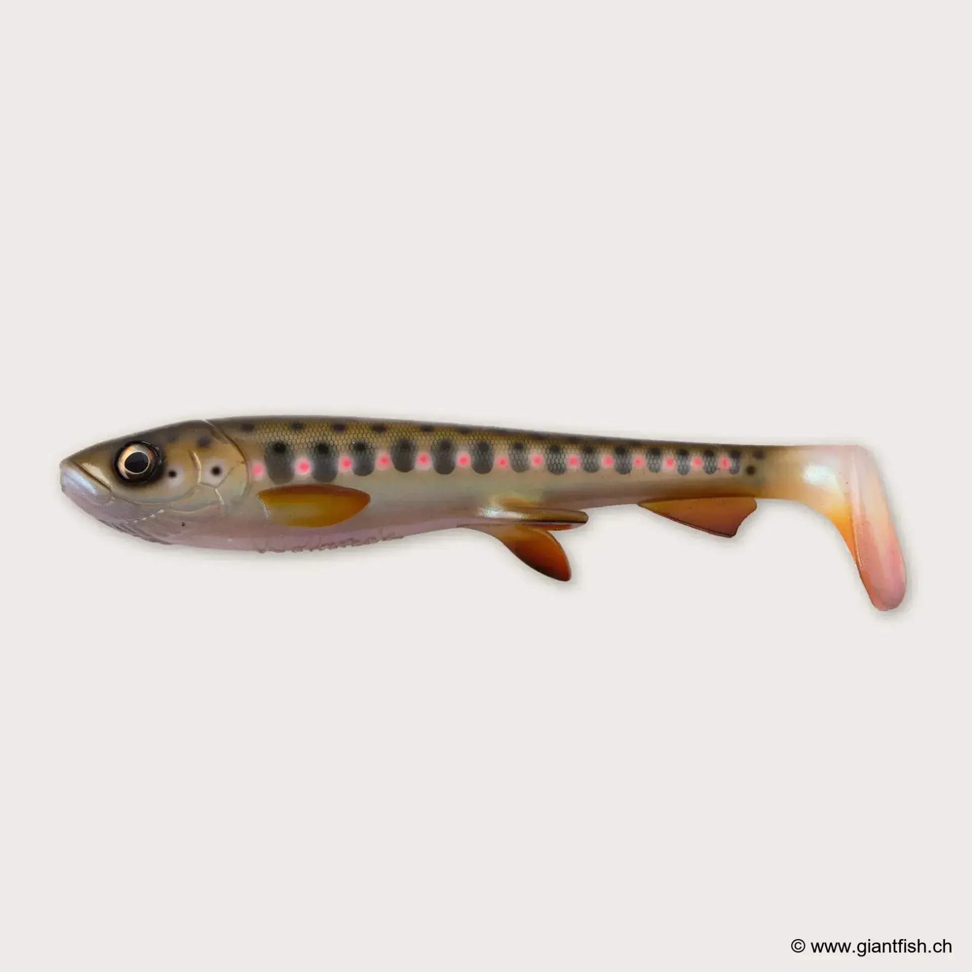 (C072) - Smolt (UV)