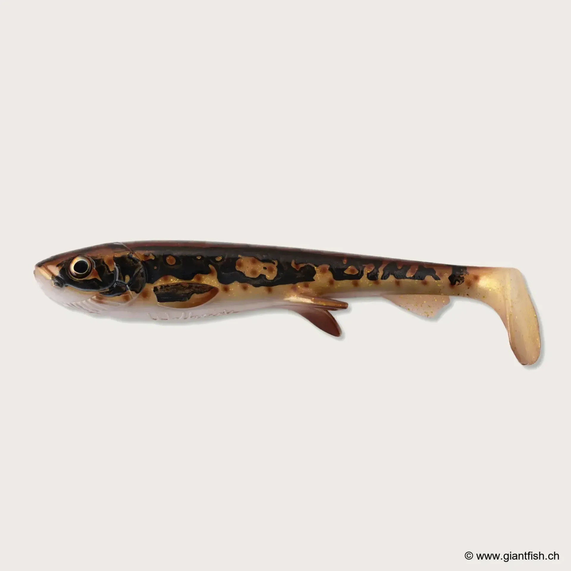 (C074) - Real Burbot