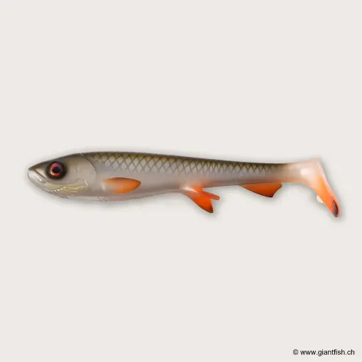 Bild von Wolfcreek Shad 2.0 - 25cm / 120g