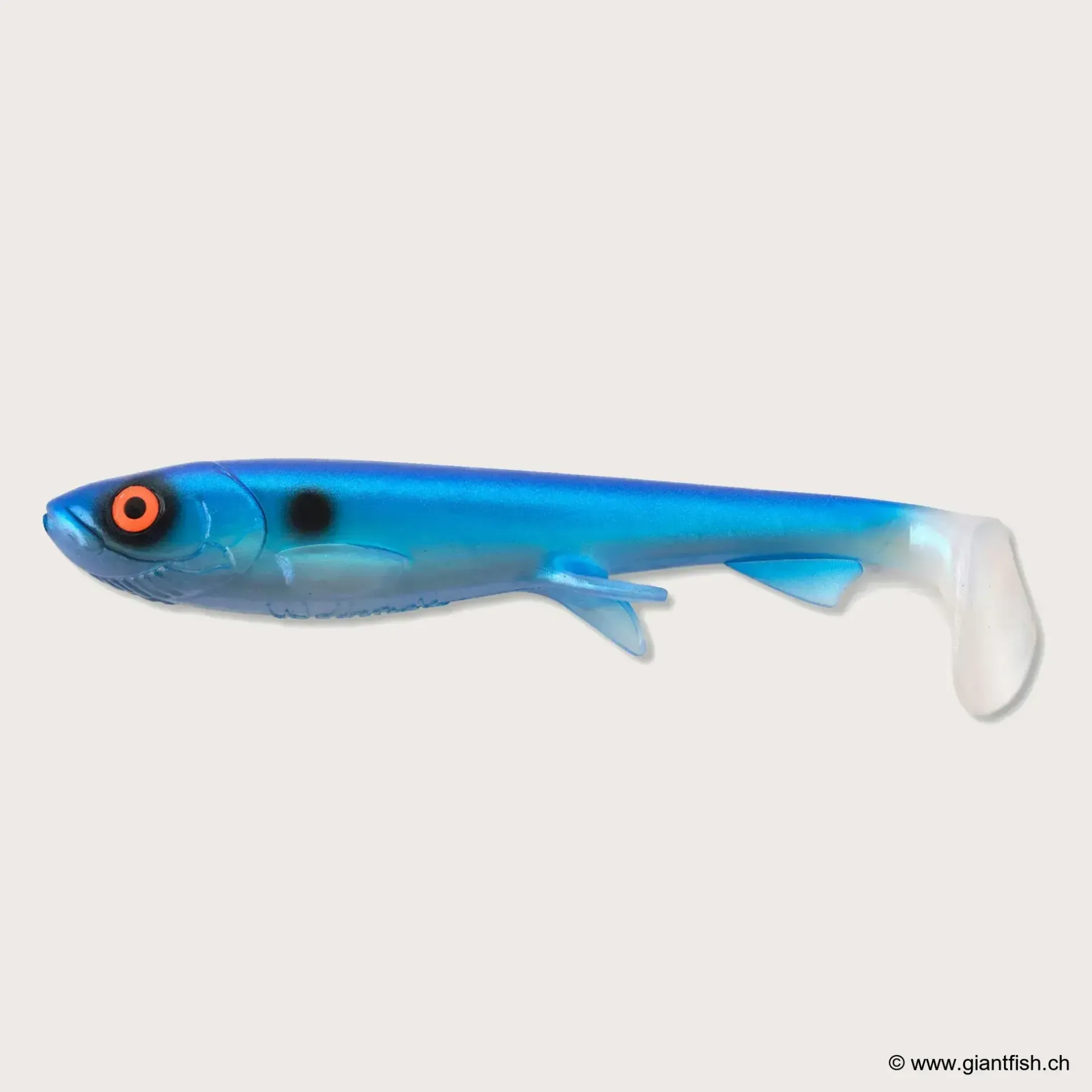 (C082) - Blue Shad