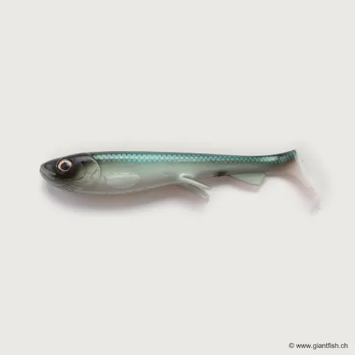 Bild von Wolfcreek Shad 2.0 - 30cm / 220g