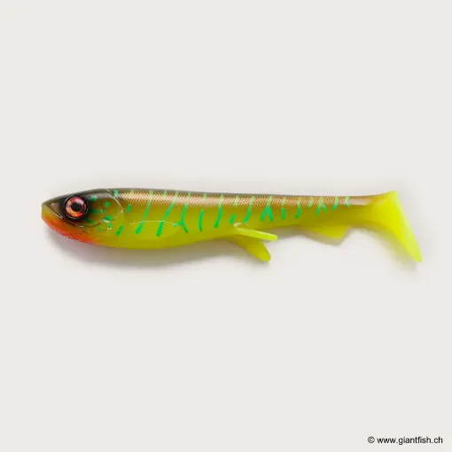 Bild von Wolfcreek Shad 2.0 - 30cm / 220g