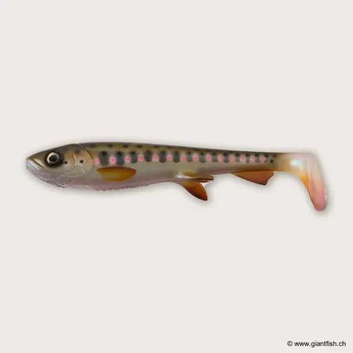 Image de Wolfcreek Shad 2.0 - 30cm / 220g