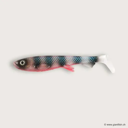 Image de Wolfcreek Shad 2.0 - 8.5cm / 6g