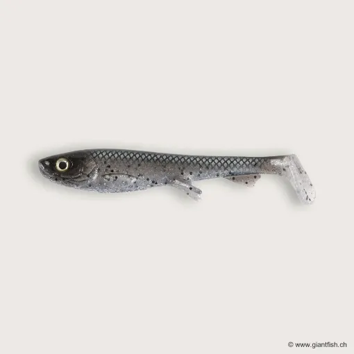 Bild von Wolfcreek Shad 2.0 - 8.5cm / 6g