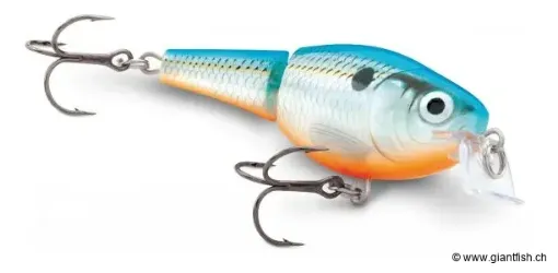 JOINTED SHALLOW SHAD RAP®