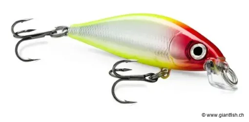 X-LIGHT MINNOW